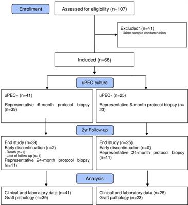 The Presence of Urinary Renal Progenitor Cells in Stable Kidney Transplant Recipients Anticipates Allograft Deterioration